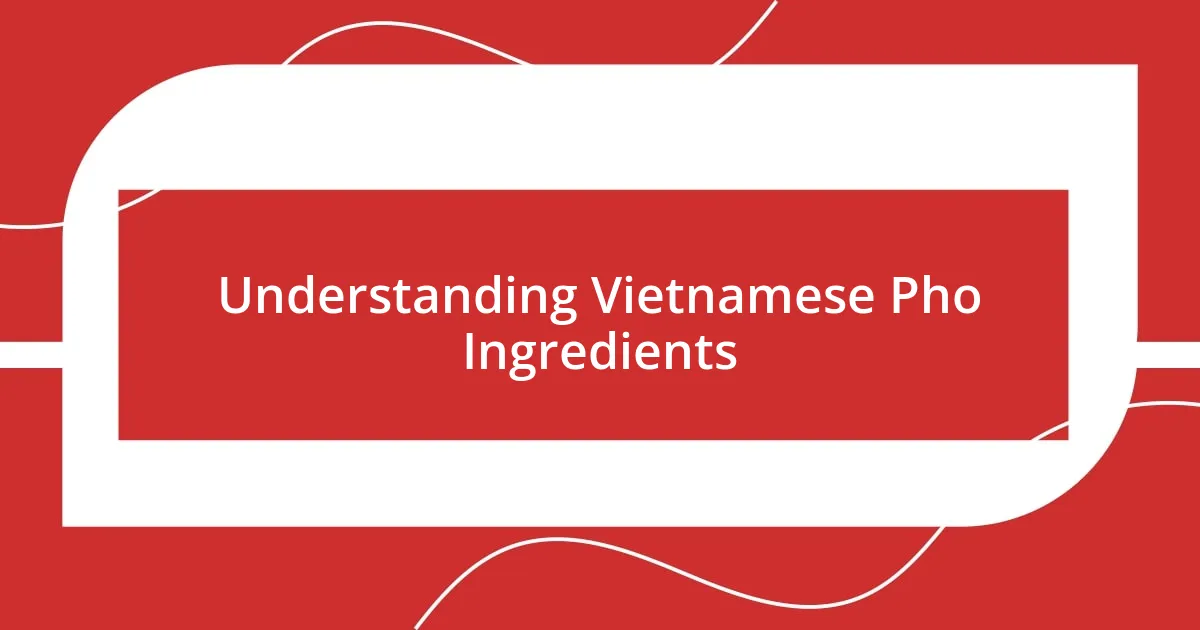 Understanding Vietnamese Pho Ingredients